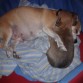 abrazando a su bebe